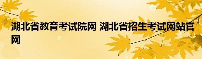 湖北省教育考试院网 湖北省招生考试网站官网
