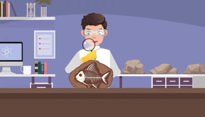 1973年江西发现的什么遗址