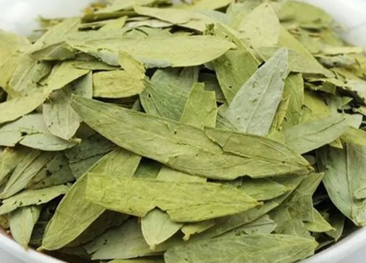 番泻叶的功效与作用