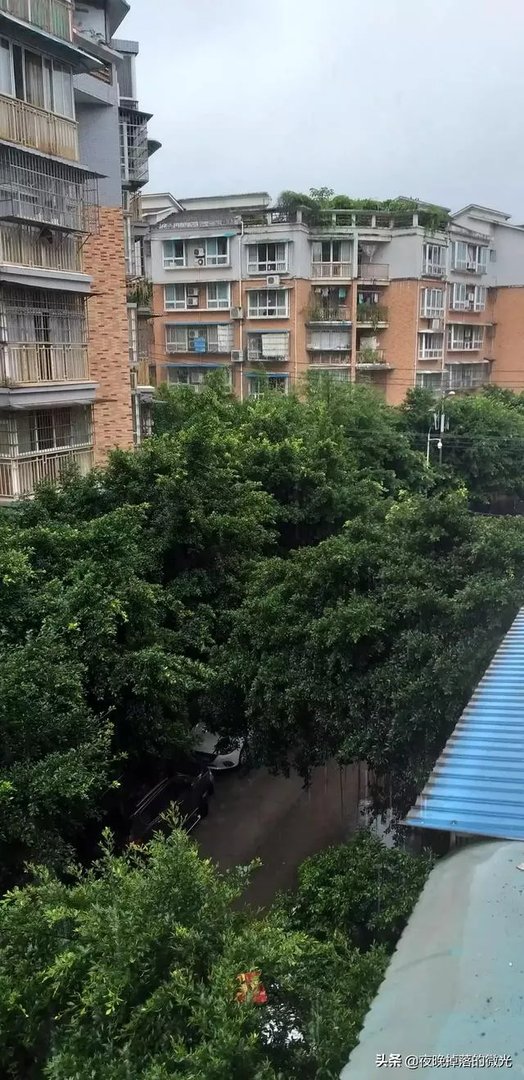 南充顺庆二手房