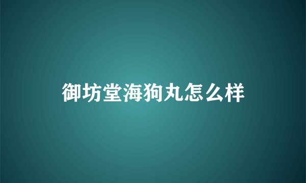 御坊堂海狗丸怎么样