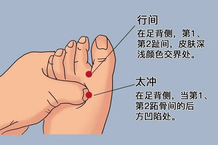太冲位于人体的哪个部位