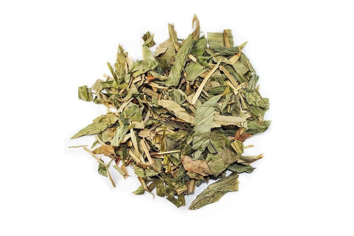 罗布麻叶图片大全