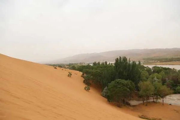 沙坡头门票多少钱 沙坡头门票价格