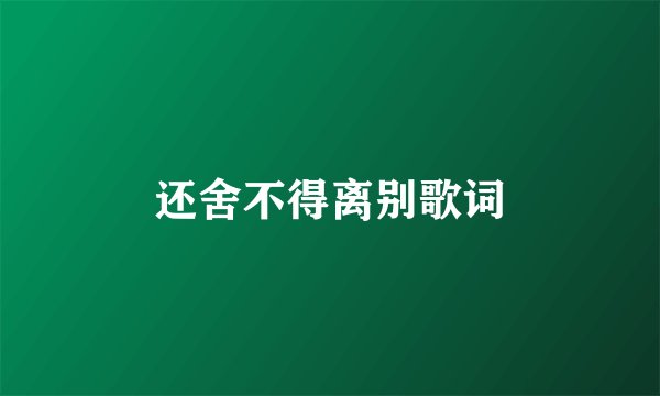 还舍不得离别歌词