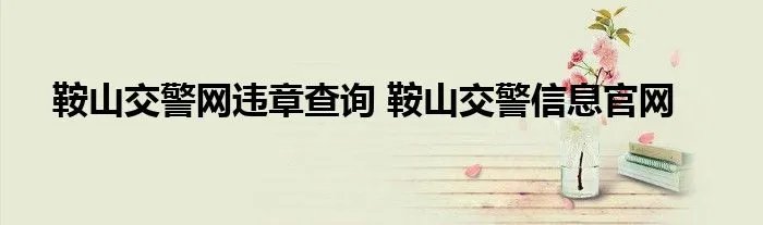 鞍山交警网违章查询 鞍山交警信息官网