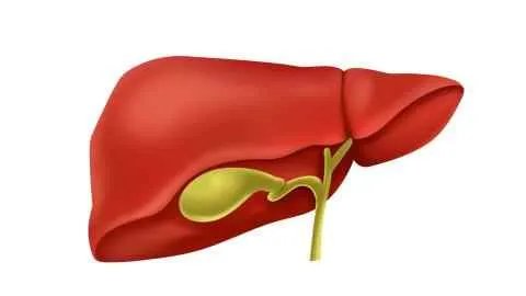 肝功能alt多少算正常