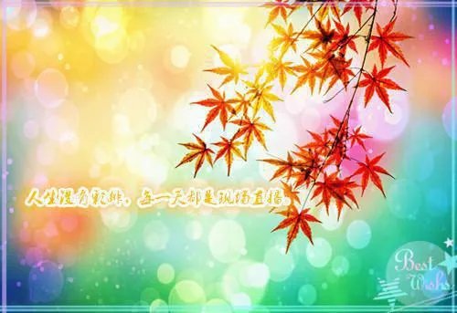 陈宇赵青科学巨匠 完整版阅读已完结