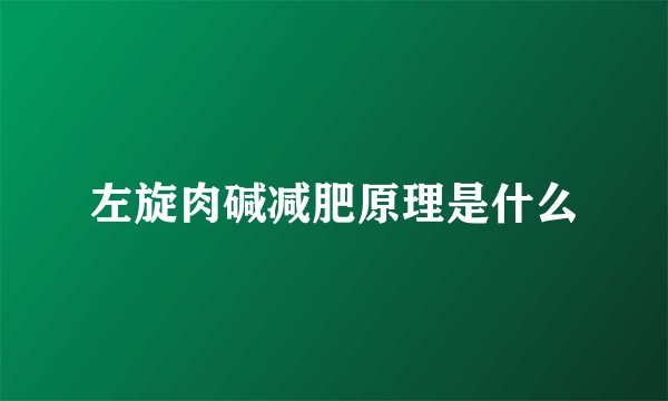 左旋肉碱减肥原理是什么