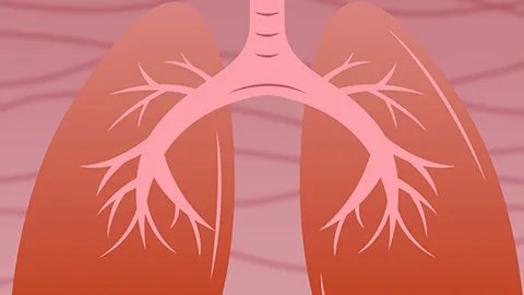 肺癌晚期可以治好吗