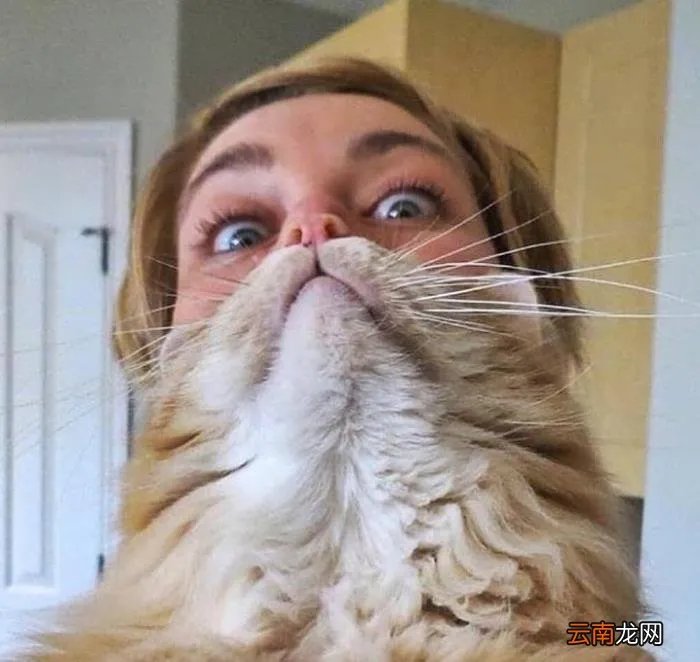 13张视觉错误照片 视觉错误图片