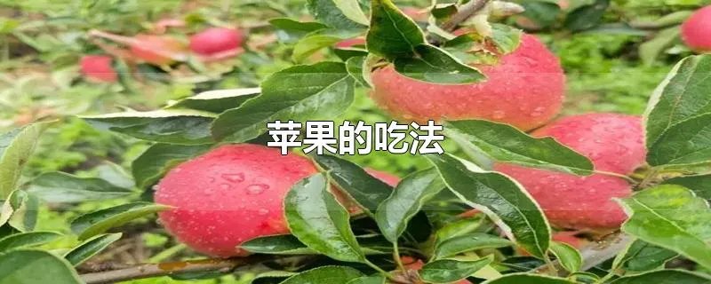 苹果的吃法