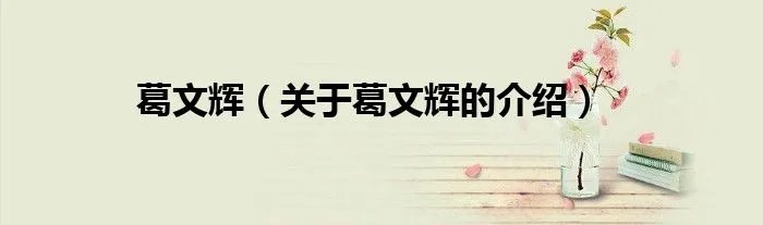 葛文辉（关于葛文辉的介绍）