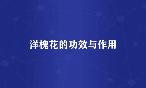 洋槐花的功效与作用