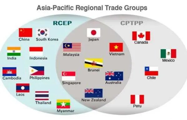 韩国决定加入印太经济框架,此举是出于什么考虑的?