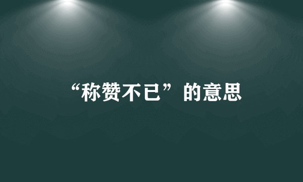 “称赞不已”的意思