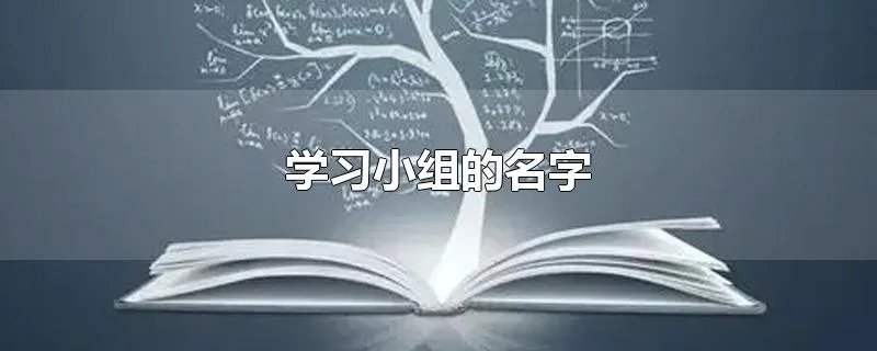 学习小组的名字