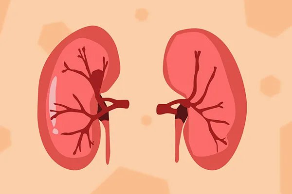 右归丸的作用和功效