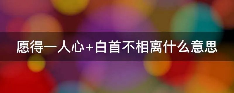 愿得一人心 白首不相离什么意思