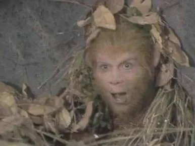 西游记这一真相骗了我们30年(图)