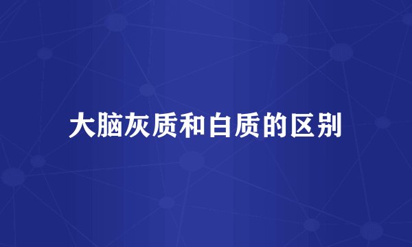 大脑灰质和白质的区别