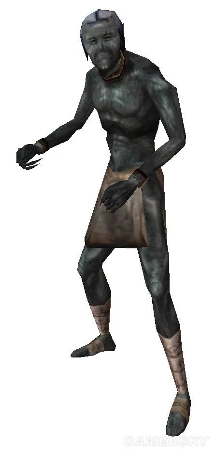 《上古卷轴》系列人形生物图鉴大全