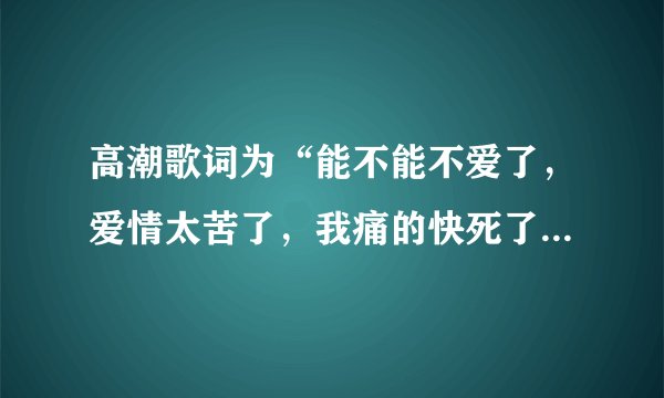 高潮歌词为“能不能不爱了，爱情太苦了，我痛的快死了，也无法将你忘了”请问这歌名是？