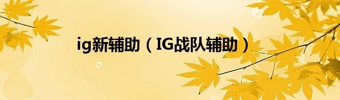 ig新辅助（IG战队辅助）