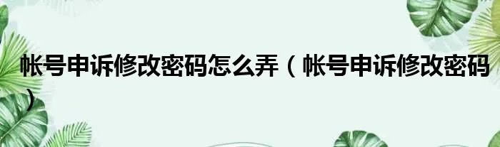 帐号申诉修改密码怎么弄（帐号申诉修改密码）