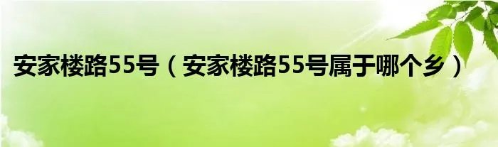 安家楼路55号（安家楼路55号属于哪个乡）