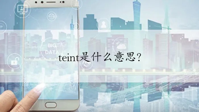 teint是什么意思？