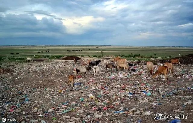 印度恒河污染那么严重,为什么不全面治理?