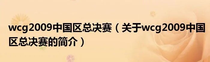 wcg2009中国区总决赛（关于wcg2009中国区总决赛的简介）