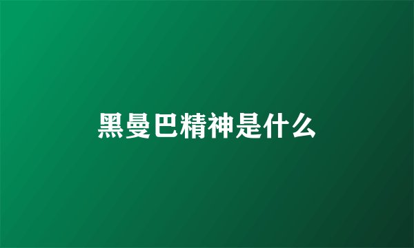 黑曼巴精神是什么