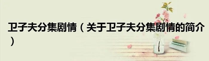 卫子夫分集剧情（关于卫子夫分集剧情的简介）