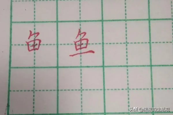 鱼的笔顺和书写方法？