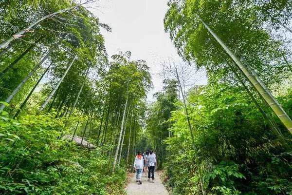 安吉旅游景点排名前十有哪些？