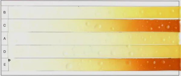 求问pvc稳定剂有哪些