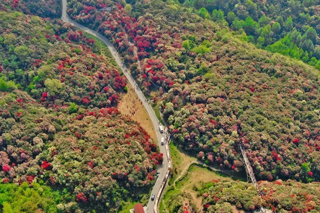 中国十大春季旅游景点