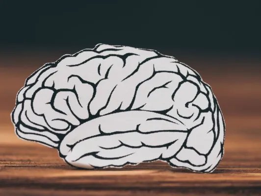 为什么记性越来越差了？这4种有助大脑健康的食物要多吃