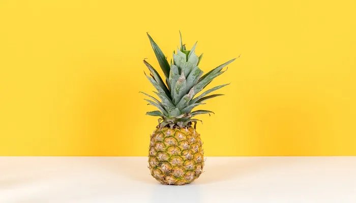 菠萝长在哪 菠萝长在哪里长在树上还是长在地上