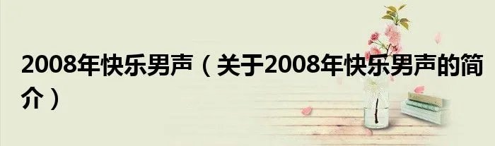 2008年快乐男声（关于2008年快乐男声的简介）