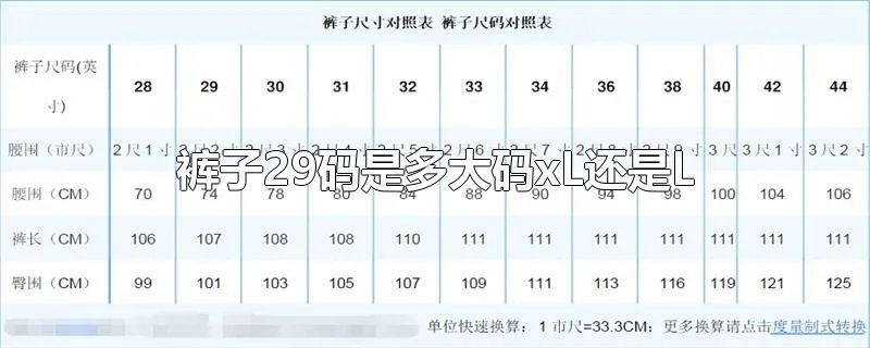 裤子29码是多大码xL还是L