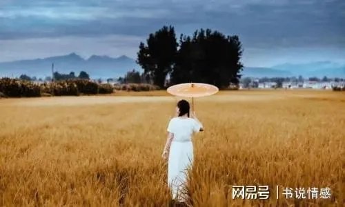 恨锁金瓶粤语1080P_恨锁金瓶粤语在线播放观看