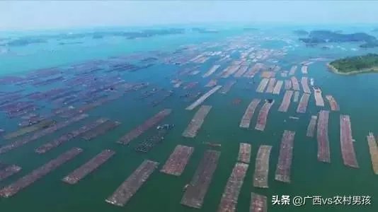 广西钦州大发展