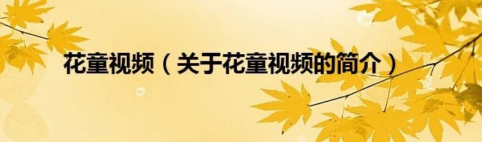 花童视频（关于花童视频的简介）