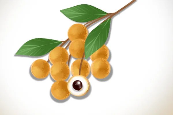 龙眼肉的副作用