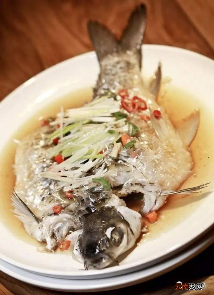 大斯巴淋鱼是真的吗