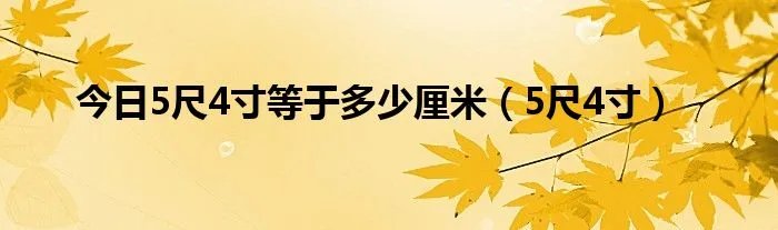 今日5尺4寸等于多少厘米（5尺4寸）