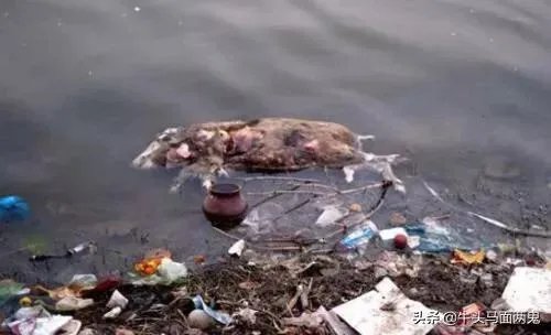 印度恒河污染那么严重,为什么不全面治理?